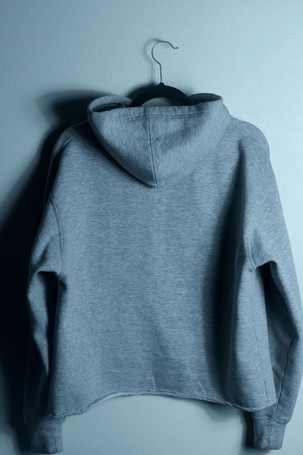 ALIVE - Hoodie (no distress)