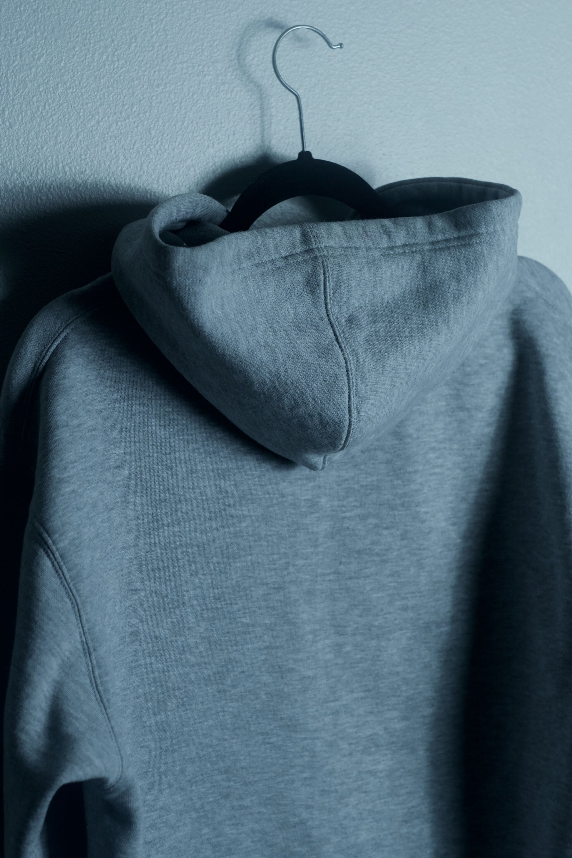 ALIVE - Hoodie (no distress)