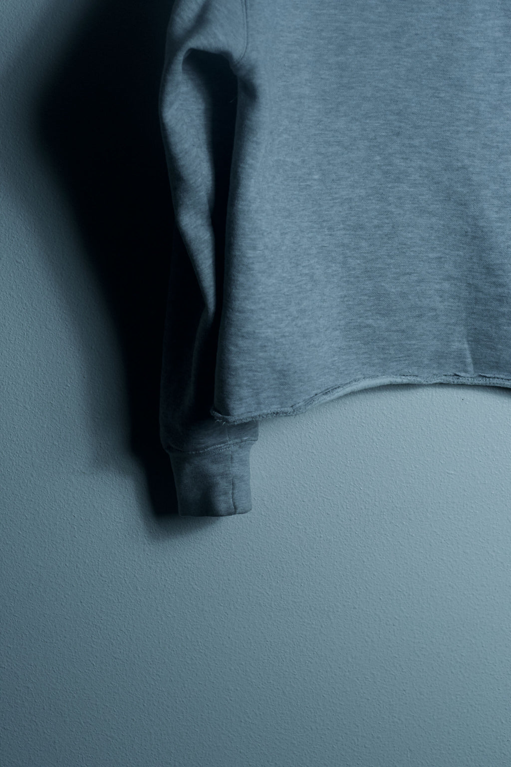 ALIVE - Hoodie (no distress)