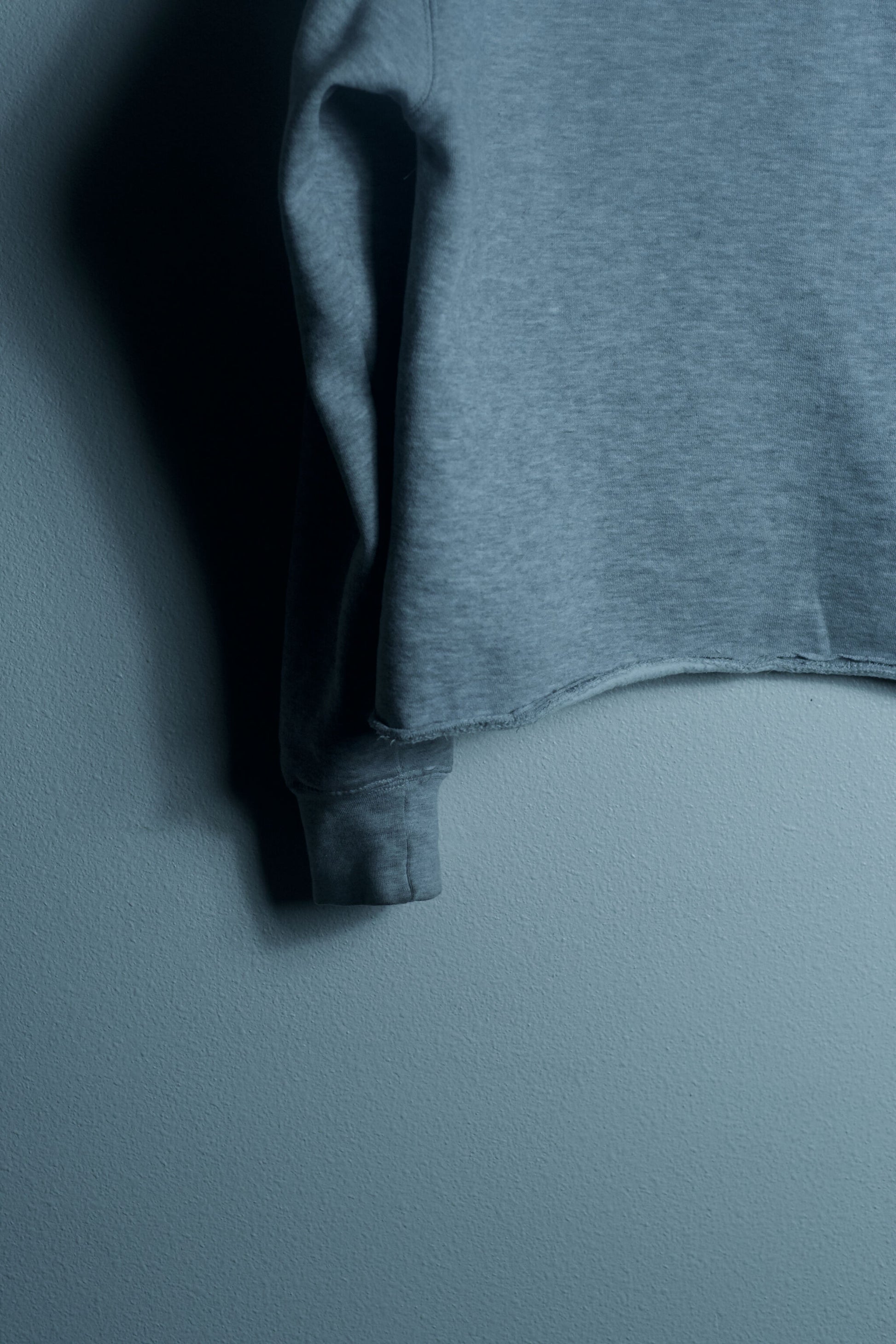 ALIVE - Hoodie (no distress)